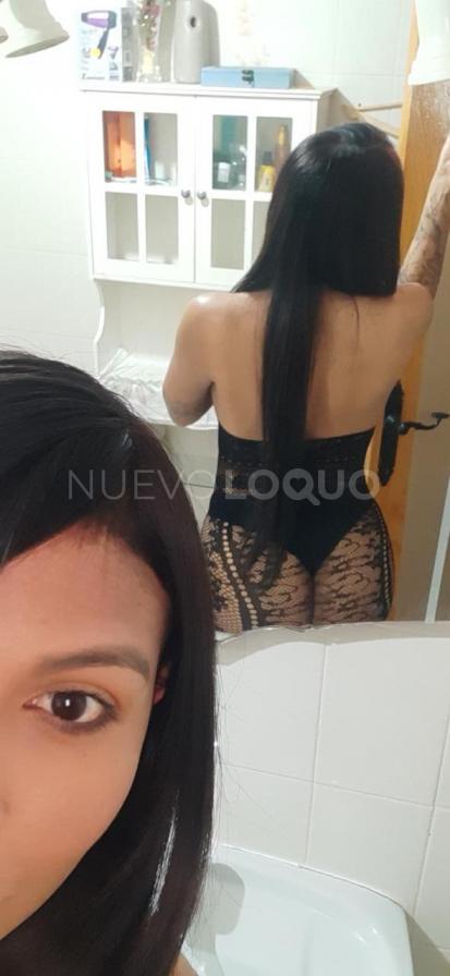 NuevoLoquo1