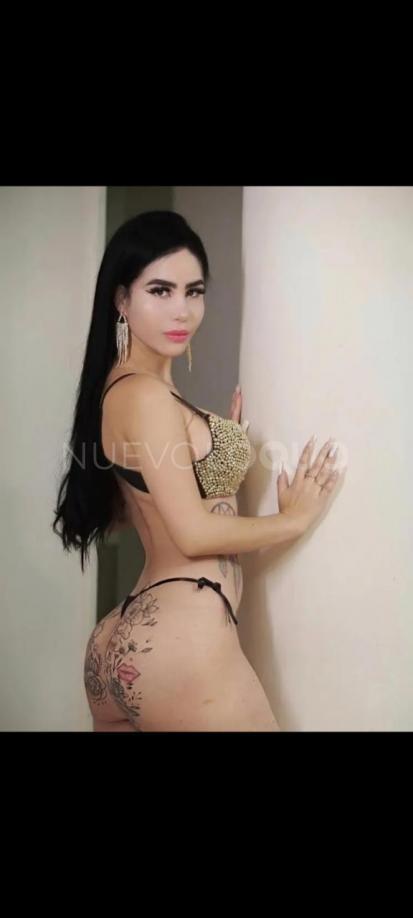 NuevoLoquo2