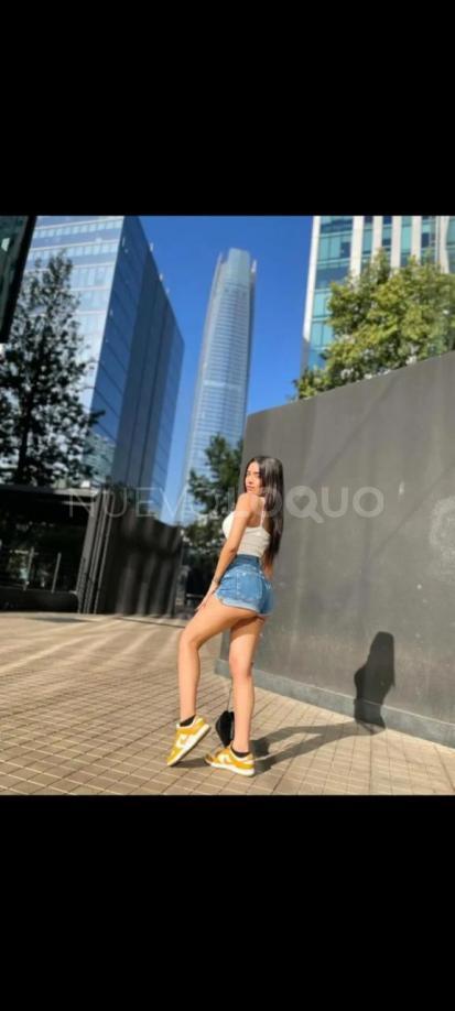 NuevoLoquo1