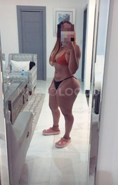 NuevoLoquo2