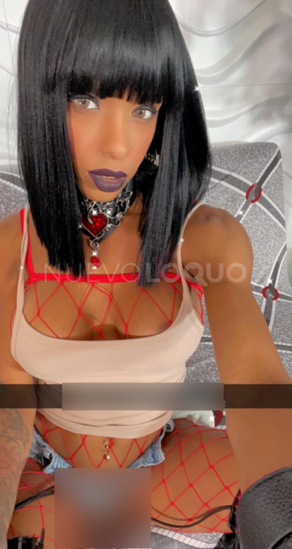 NuevoLoquo2