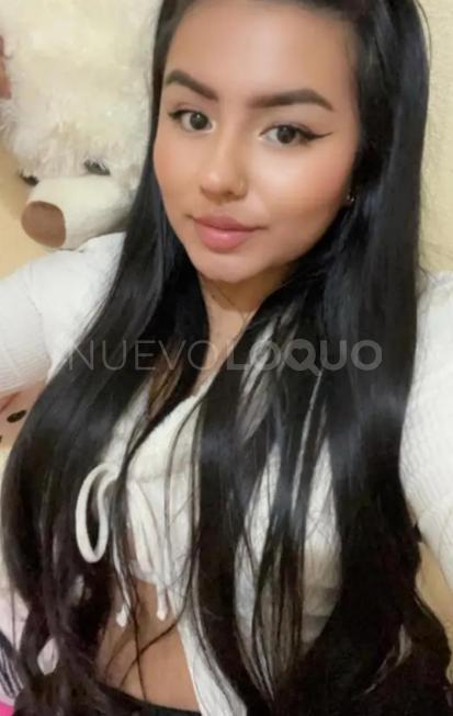 NuevoLoquo2