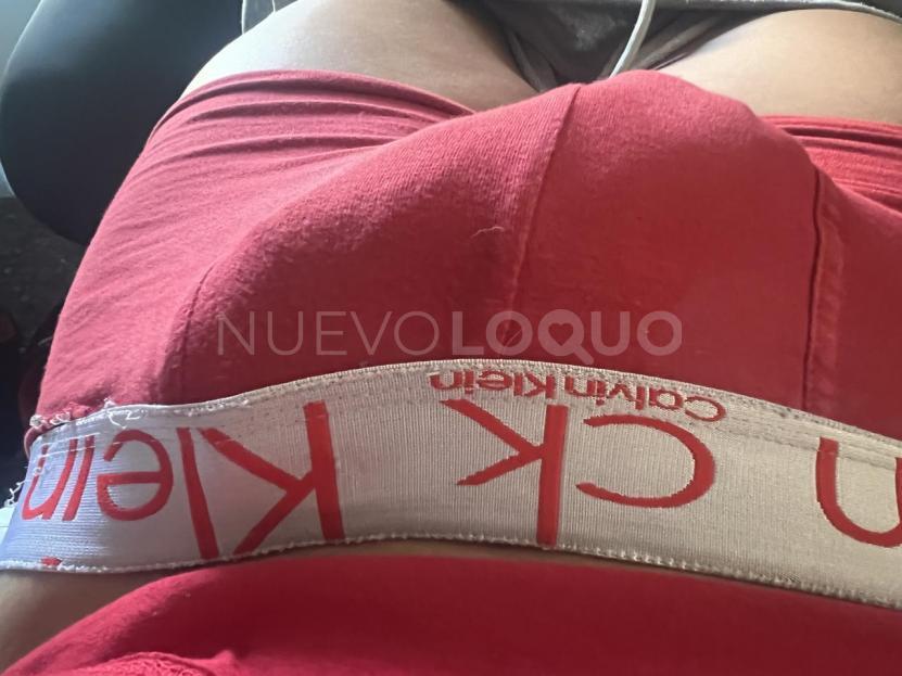NuevoLoquo1