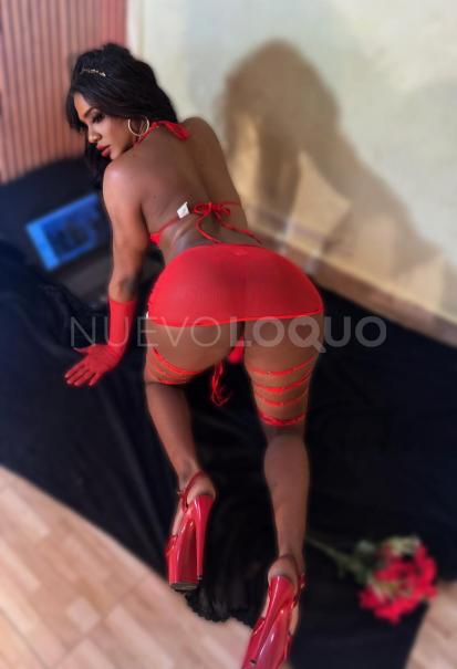 NuevoLoquo3
