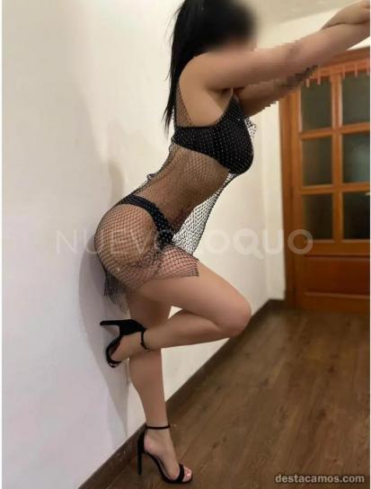 NuevoLoquo2