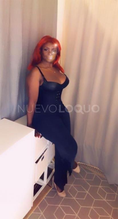 NuevoLoquo1