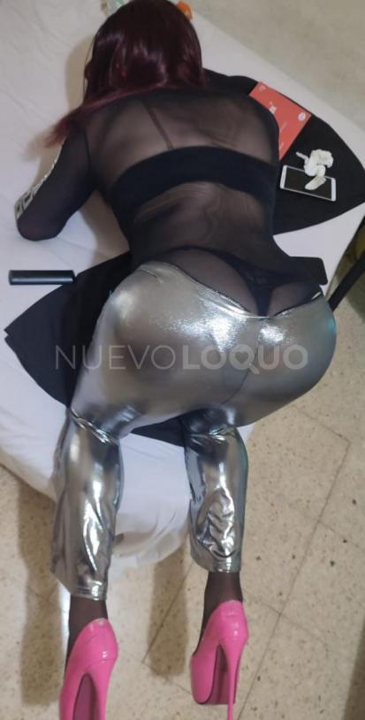 NuevoLoquo4