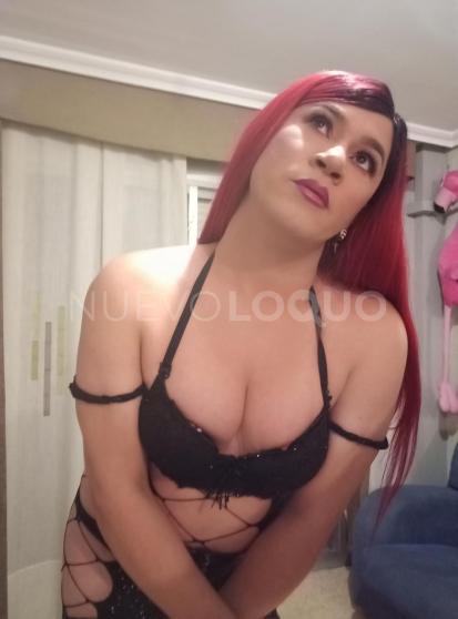  Novedad 