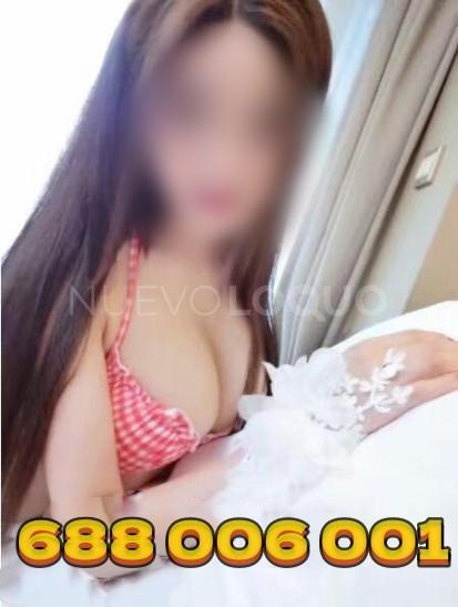 NuevoLoquo4
