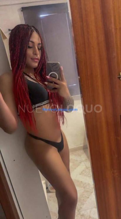 NuevoLoquo1