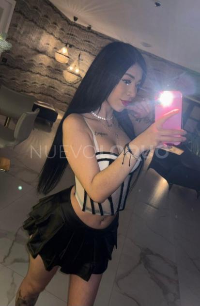 NuevoLoquo3