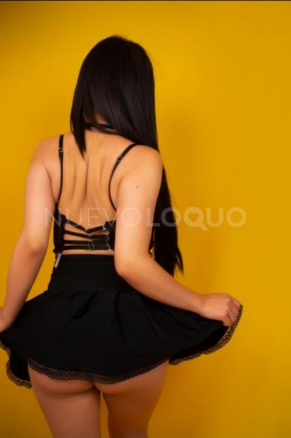 NuevoLoquo3
