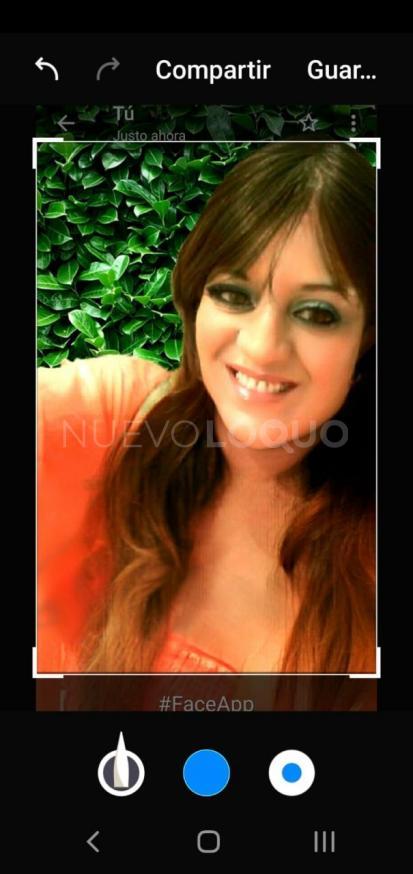 NuevoLoquo1