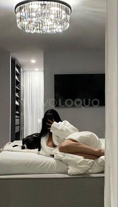 NuevoLoquo2