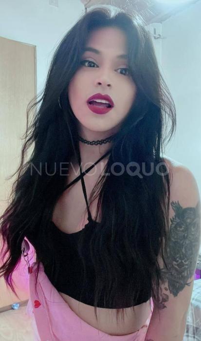 NuevoLoquo2