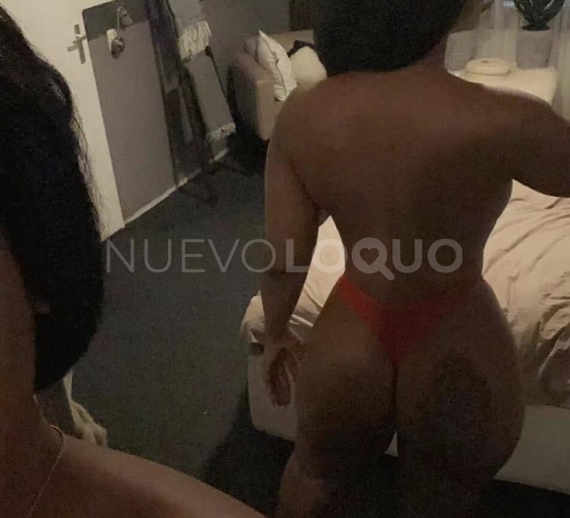 NuevoLoquo1