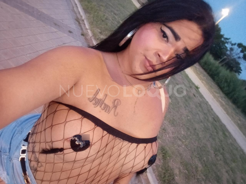 NuevoLoquo3