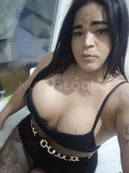 NuevoLoquo4