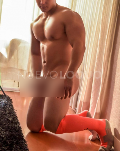 NuevoLoquo3