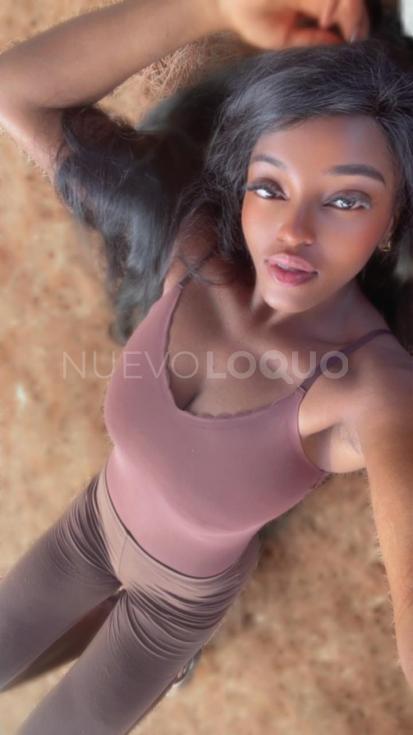 NuevoLoquo1