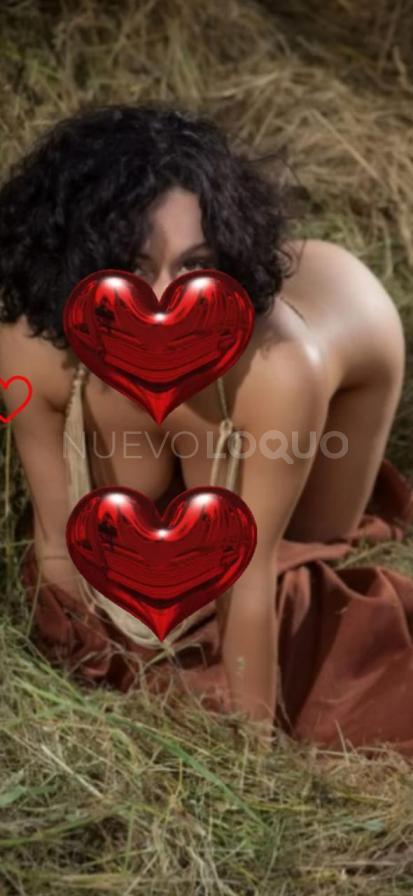 NuevoLoquo1