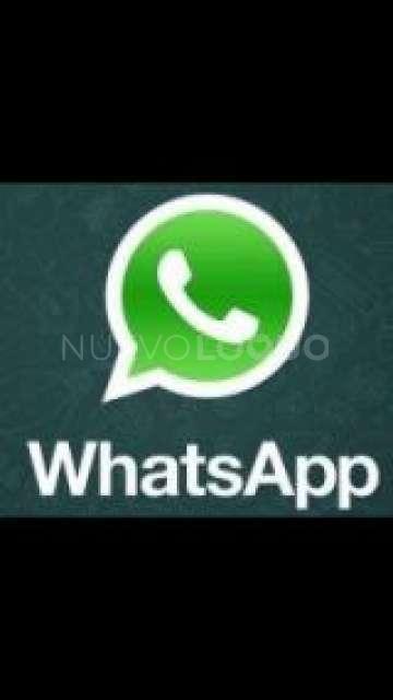 NuevoLoquo2
