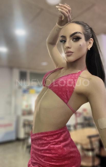 NuevoLoquo1