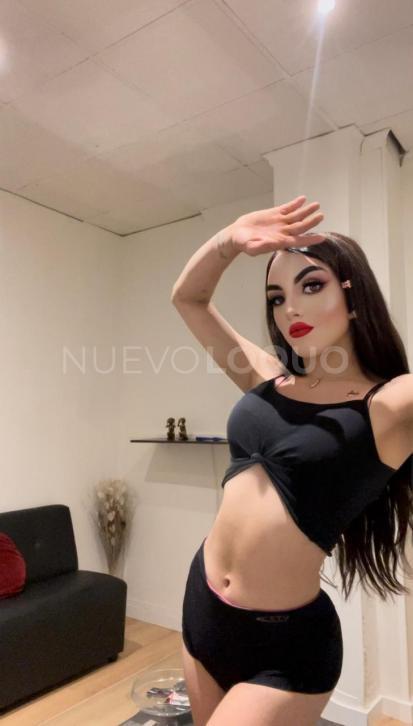 NuevoLoquo5