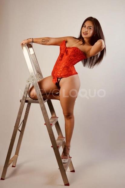 NuevoLoquo2