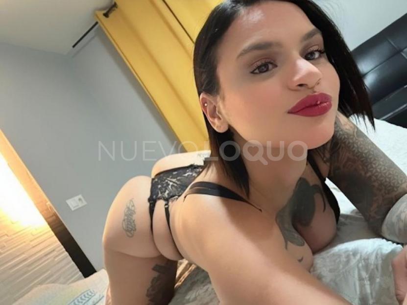 NuevoLoquo5