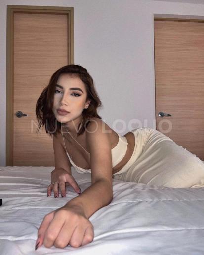 NuevoLoquo3