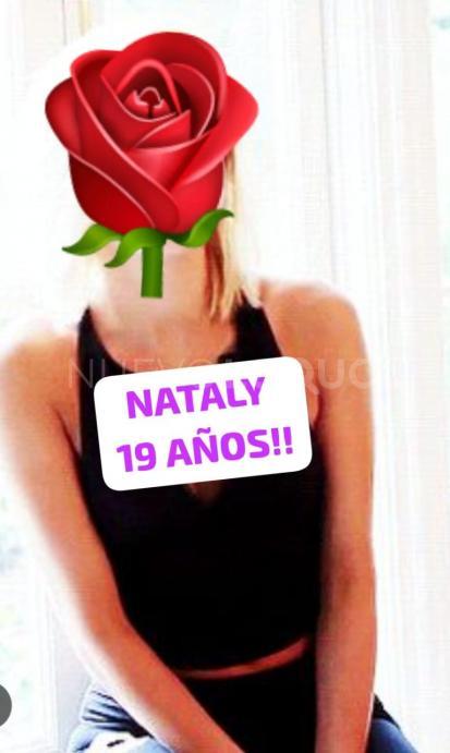 NuevoLoquo3