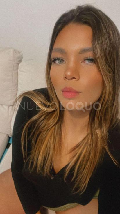 NuevoLoquo2