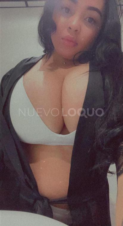 NuevoLoquo2
