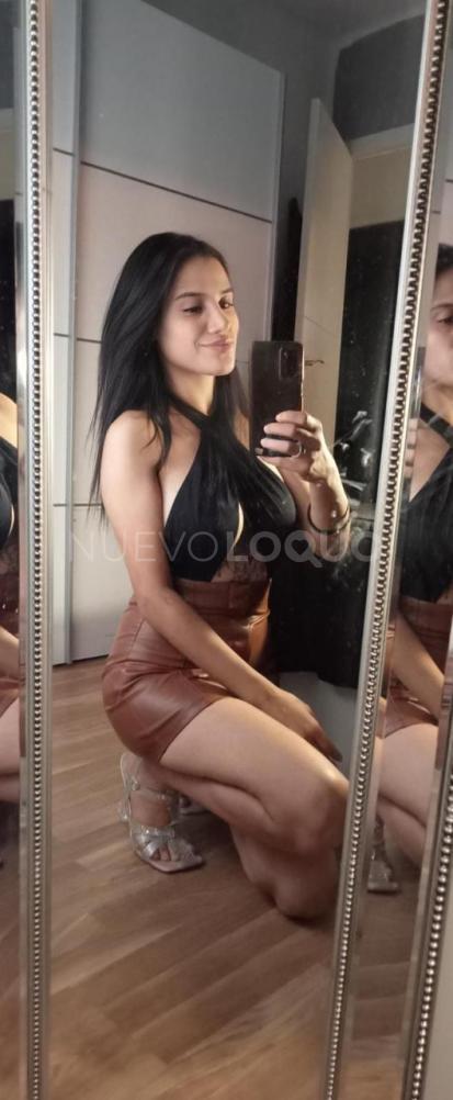 NuevoLoquo2