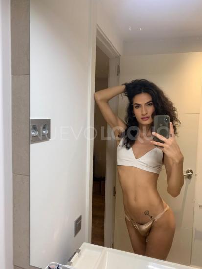 NuevoLoquo4