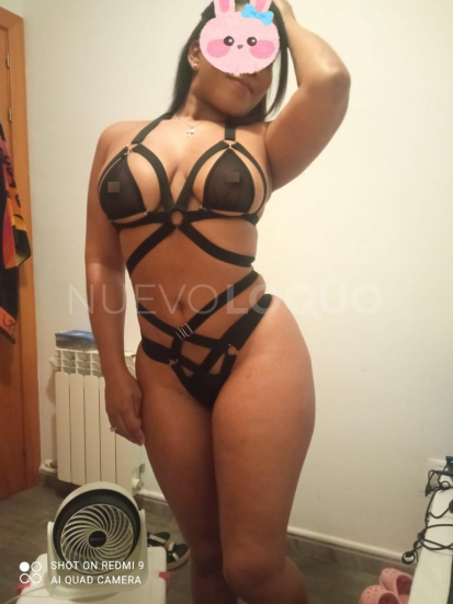 NuevoLoquo3
