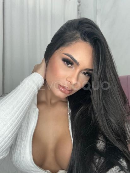 NuevoLoquo2