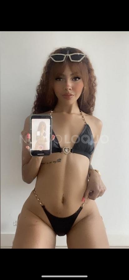 NuevoLoquo4
