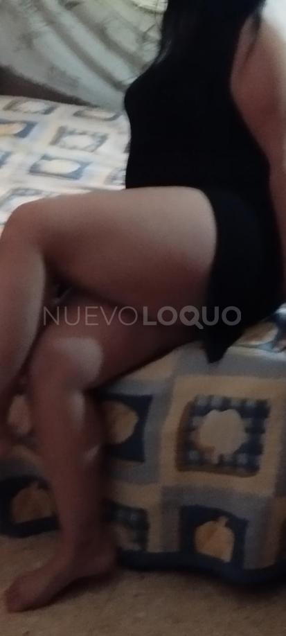 NuevoLoquo2