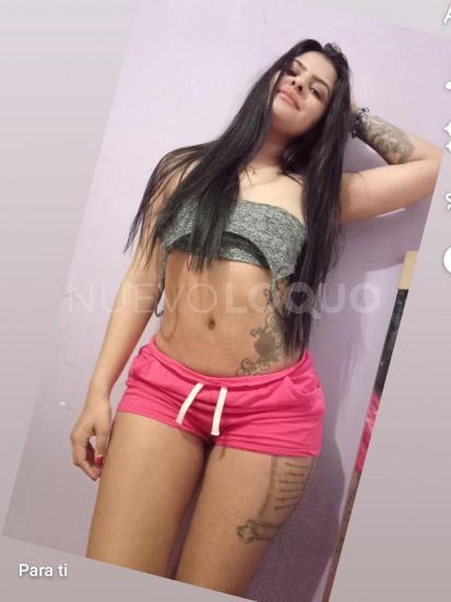 NuevoLoquo2