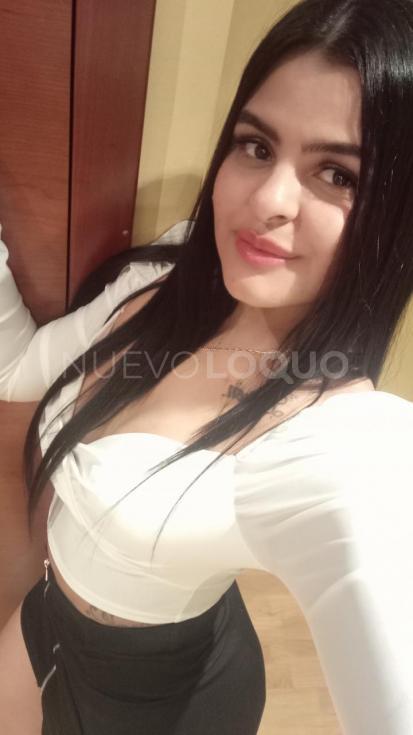 NuevoLoquo3