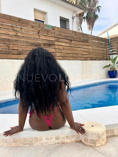NuevoLoquo3