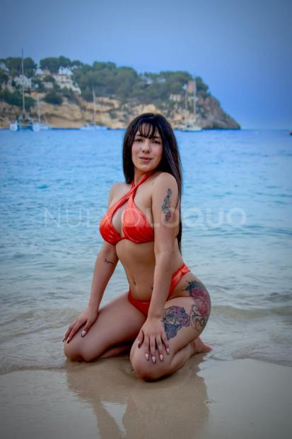 NuevoLoquo3