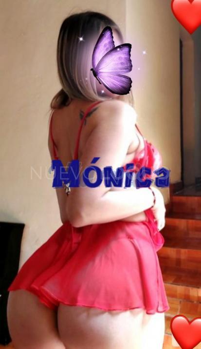NuevoLoquo2