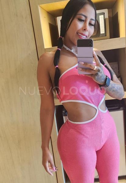 NuevoLoquo2