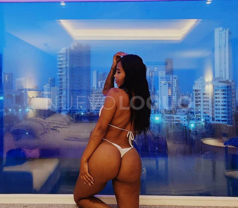 NuevoLoquo3