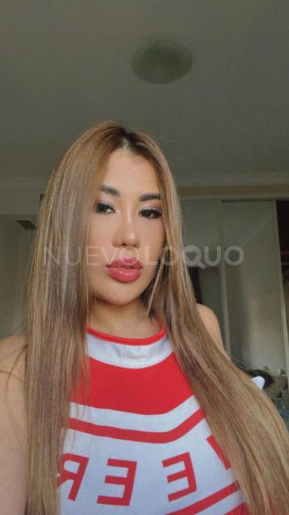 NuevoLoquo3