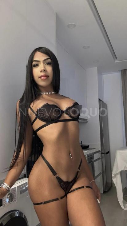 NuevoLoquo3