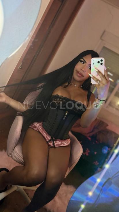 NuevoLoquo4